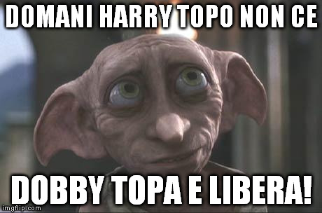 dobby | DOMANI HARRY TOPO NON CE DOBBY TOPA E LIBERA! | image tagged in dobby | made w/ Imgflip meme maker