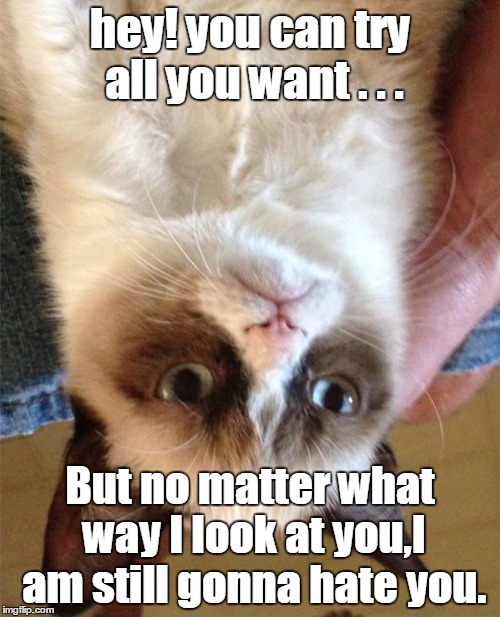 Grumpy Cat | hey! you can try all you want . . . But no matter what way I look at you,I am still gonna hate you. | image tagged in memes,grumpy cat | made w/ Imgflip meme maker