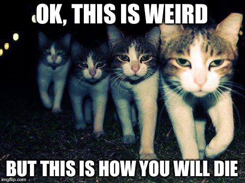 Wrong Neighboorhood Cats | OK, THIS IS WEIRD BUT THIS IS HOW YOU WILL DIE | image tagged in memes,wrong neighboorhood cats | made w/ Imgflip meme maker