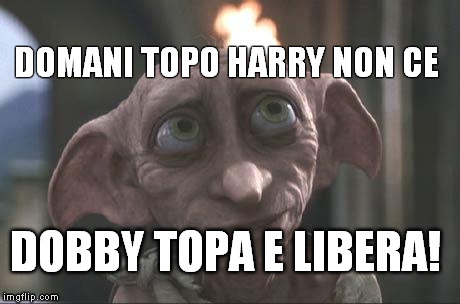 dobby | DOMANI TOPO HARRY NON CE DOBBY TOPA E LIBERA! | image tagged in dobby | made w/ Imgflip meme maker