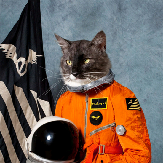 Space Cat Blank Meme Template