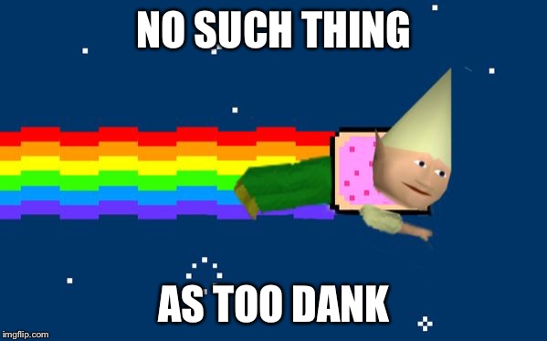 Dank Nyan | NO SUCH THING AS TOO DANK | image tagged in dank nyan | made w/ Imgflip meme maker