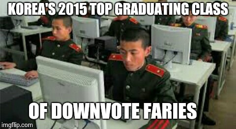 KOREA'S 2015 TOP GRADUATING CLASS OF DOWNVOTE FARIES | made w/ Imgflip meme maker