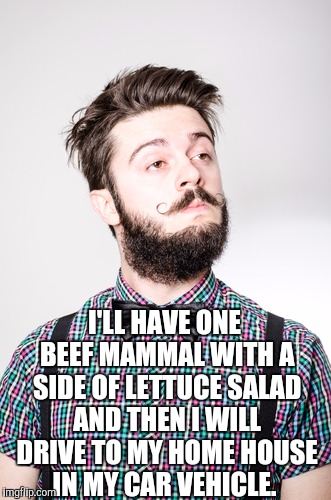 I'LL HAVE ONE BEEF MAMMAL WITH A SIDE OF LETTUCE SALAD AND THEN I WILL DRIVE TO MY HOME HOUSE IN MY CAR VEHICLE. | made w/ Imgflip meme maker