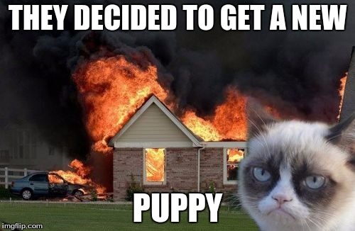 Burn Kitty | THEY DECIDED TO GET A NEW PUPPY | image tagged in memes,burn kitty | made w/ Imgflip meme maker