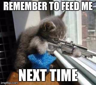CatSniper | REMEMBER TO FEED ME NEXT TIME | image tagged in catsniper | made w/ Imgflip meme maker