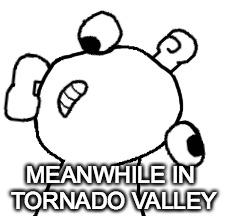 Tornado Valley | MEANWHILE IN TORNADO VALLEY | image tagged in memes,funny | made w/ Imgflip meme maker