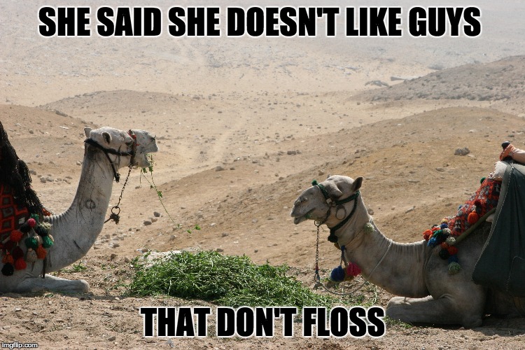 Dating Advice | SHE SAID SHE DOESN'T LIKE GUYS THAT DON'T FLOSS | image tagged in personal hygiene | made w/ Imgflip meme maker