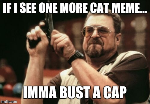 Am I The Only One Around Here Meme | IF I SEE ONE MORE CAT MEME... IMMA BUST A CAP | image tagged in memes,am i the only one around here | made w/ Imgflip meme maker