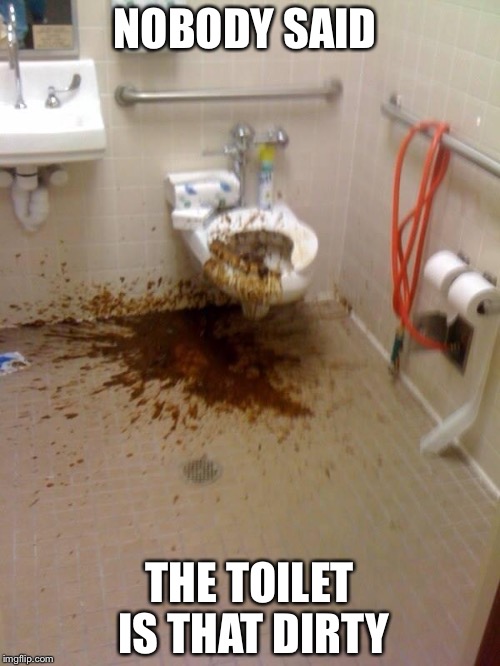 Girls poop too | NOBODY SAID THE TOILET IS THAT DIRTY | image tagged in girls poop too | made w/ Imgflip meme maker