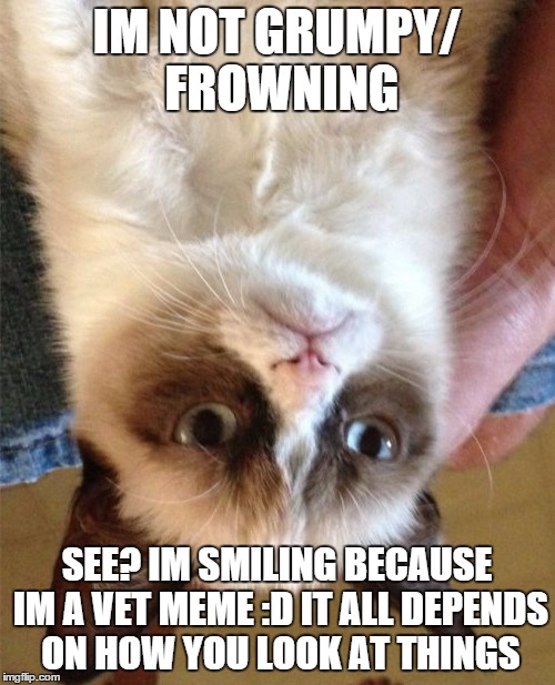 Grumpy Cat Meme | IM NOT GRUMPY/ FROWNING SEE? IM SMILING BECAUSE IM A VET MEME :D IT ALL DEPENDS ON HOW YOU LOOK AT THINGS | image tagged in memes,grumpy cat | made w/ Imgflip meme maker