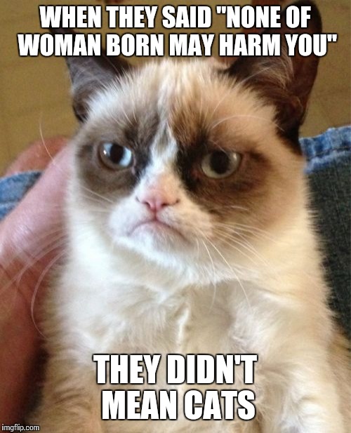 Grumpy Cat Meme | WHEN THEY SAID "NONE OF WOMAN BORN MAY HARM YOU" THEY DIDN'T MEAN CATS | image tagged in memes,grumpy cat | made w/ Imgflip meme maker