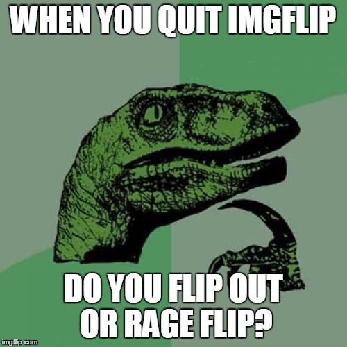 Philosoraptor Meme | WHEN YOU QUIT IMGFLIP DO YOU FLIP OUT OR RAGE FLIP? | image tagged in memes,philosoraptor | made w/ Imgflip meme maker