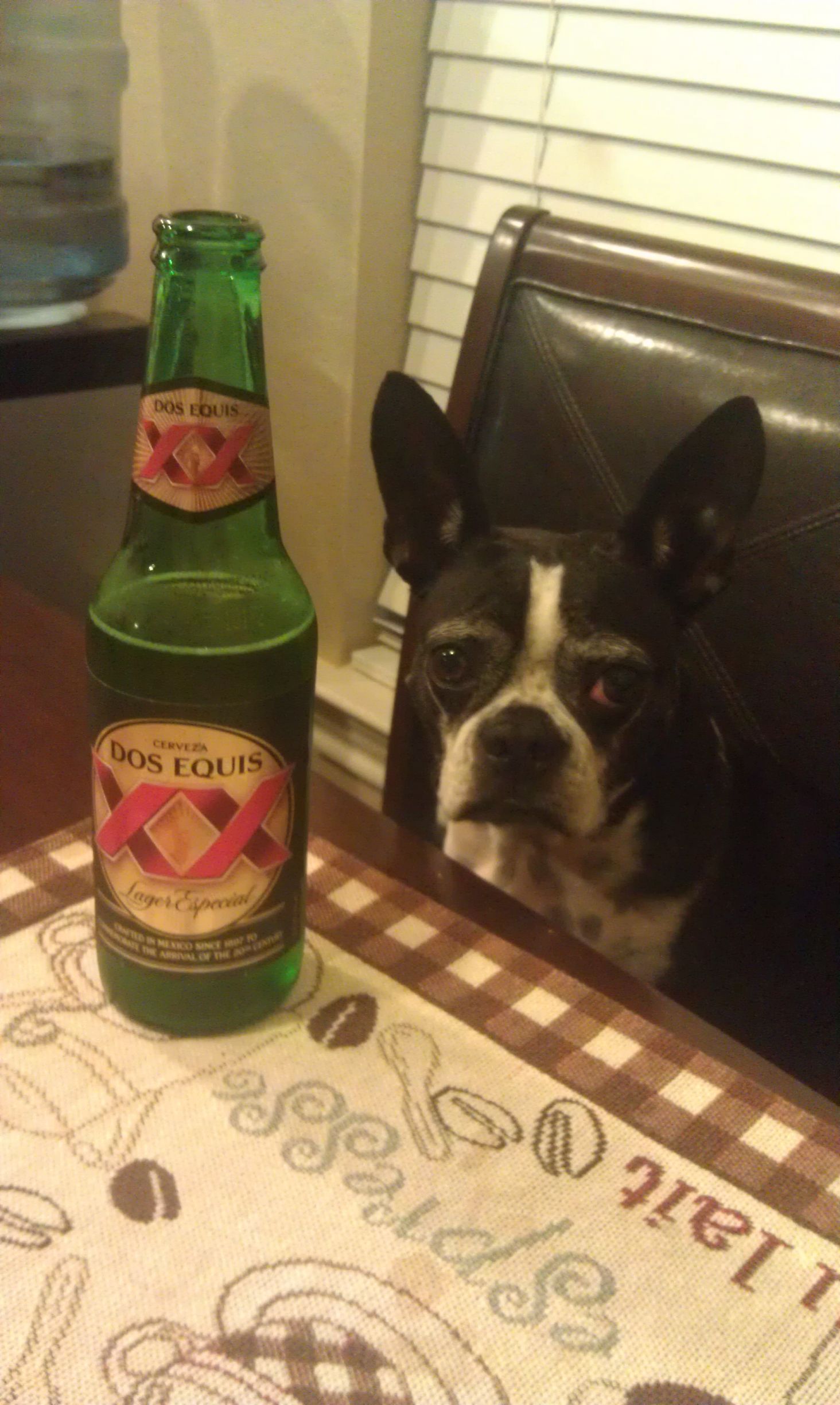 High Quality DogandBeer Blank Meme Template