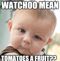 Skeptical Baby | WATCHOO MEAN TOMATOES A FRUIT?? | image tagged in memes,skeptical baby | made w/ Imgflip meme maker