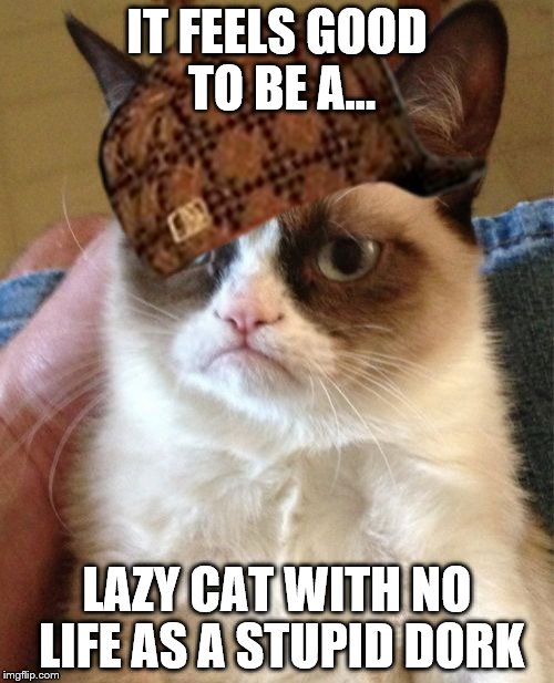 Grumpy Cat Meme | IT FEELS GOOD TO BE A... LAZY CAT WITH NO LIFE AS A STUPID DORK | image tagged in memes,grumpy cat,scumbag | made w/ Imgflip meme maker