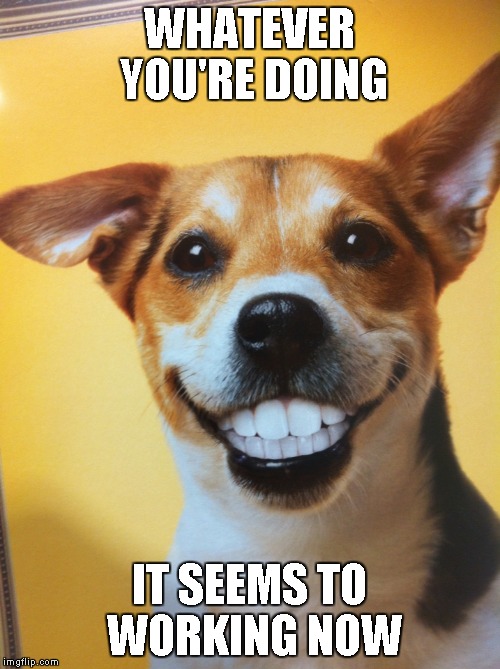 Dog Grinning | WHATEVER YOU'RE DOING IT SEEMS TO WORKING NOW | image tagged in dog grinning | made w/ Imgflip meme maker