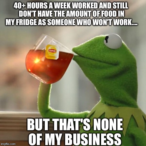 But That's None Of My Business | 40+ HOURS A WEEK WORKED AND STILL DON'T HAVE THE AMOUNT OF FOOD IN MY FRIDGE AS SOMEONE WHO WON'T WORK.... BUT THAT'S NONE OF MY BUSINESS | image tagged in memes,but thats none of my business,kermit the frog | made w/ Imgflip meme maker