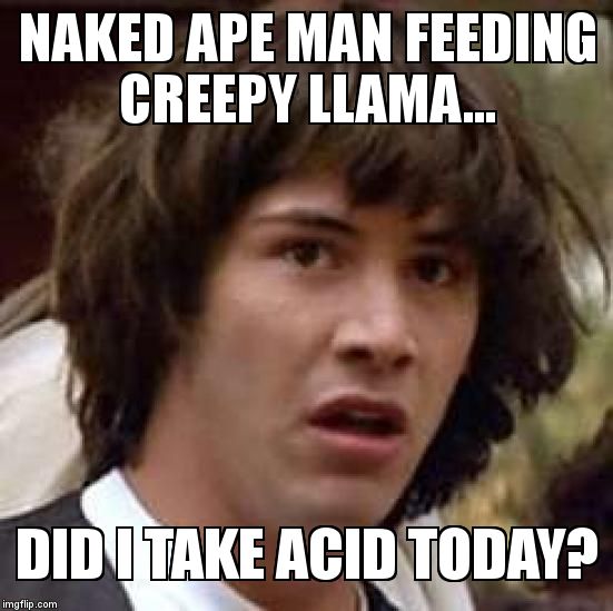 Conspiracy Keanu Meme | NAKED APE MAN FEEDING CREEPY LLAMA... DID I TAKE ACID TODAY? | image tagged in memes,conspiracy keanu | made w/ Imgflip meme maker