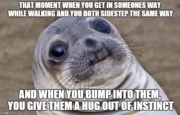 Awkward Moment Sealion | THAT MOMENT WHEN YOU GET IN SOMEONES WAY WHILE WALKING AND YOU BOTH SIDESTEP THE SAME WAY AND WHEN YOU BUMP INTO THEM, YOU GIVE THEM A HUG O | image tagged in memes,awkward moment sealion | made w/ Imgflip meme maker