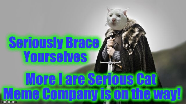 Serious Cat Meme Company.   Ask about Upvotes and Meme War Specials! | Seriously Brace Yourselves More I are Serious Cat Meme Company is on the way! | image tagged in game of thrones serious cat,memes,funny memes | made w/ Imgflip meme maker