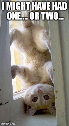 upside down cat | I MIGHT HAVE HAD ONE.... OR TWO... | image tagged in upside down cat | made w/ Imgflip meme maker