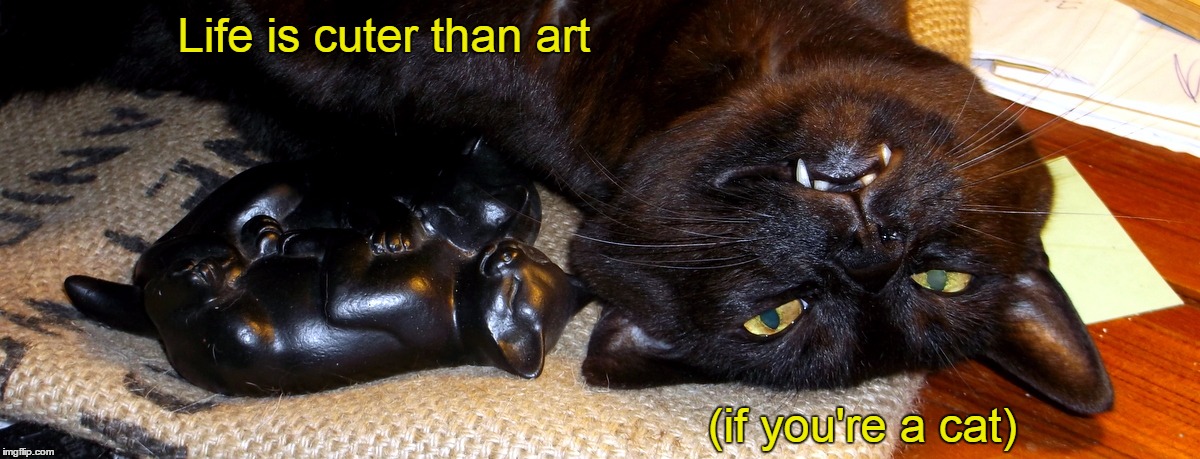 Carlo's Philosphy | Life is cuter than art (if you're a cat) | image tagged in cats | made w/ Imgflip meme maker