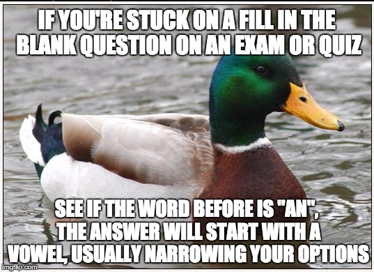 Actual Advice Mallard | IF YOU'RE STUCK ON A FILL IN THE BLANK QUESTION ON AN EXAM OR QUIZ SEE IF THE WORD BEFORE IS "AN", THE ANSWER WILL START WITH A VOWEL, USUAL | image tagged in memes,actual advice mallard | made w/ Imgflip meme maker