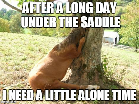 Sometimes I Just Need A Little Alone Time | AFTER A LONG DAY UNDER THE SADDLE I NEED A LITTLE ALONE TIME | image tagged in horse horsewithitsheadinatree horseinatree afteralongdayunderthesaddle ineedalittlealonetime | made w/ Imgflip meme maker