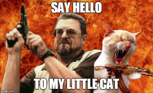 Am I the only one who has a side-cat? | SAY HELLO TO MY LITTLE CAT | image tagged in memes,am i the only one around here,crazy cat | made w/ Imgflip meme maker