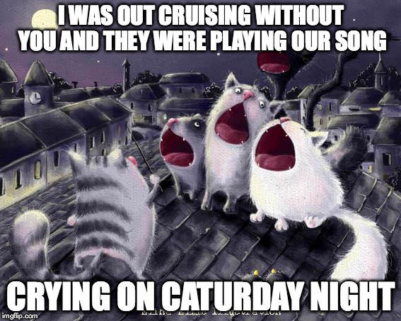 singing cats | I WAS OUT CRUISING WITHOUT YOU AND THEY WERE PLAYING OUR SONG CRYING ON CATURDAY NIGHT | image tagged in singing cats | made w/ Imgflip meme maker