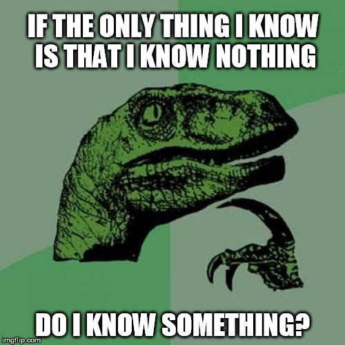 Philosoraptor | IF THE ONLY THING I KNOW IS THAT I KNOW NOTHING DO I KNOW SOMETHING? | image tagged in memes,philosoraptor | made w/ Imgflip meme maker