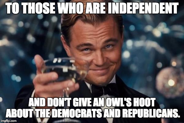 Leonardo Dicaprio Cheers Meme | TO THOSE WHO ARE INDEPENDENT AND DON'T GIVE AN OWL'S HOOT ABOUT THE DEMOCRATS AND REPUBLICANS. | image tagged in memes,leonardo dicaprio cheers | made w/ Imgflip meme maker