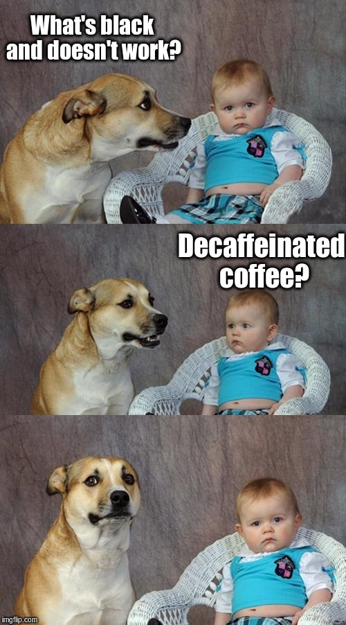 It's in a union.  It doesn't have to work. | What's black and doesn't work? Decaffeinated coffee? | image tagged in memes,dad joke dog,meme | made w/ Imgflip meme maker