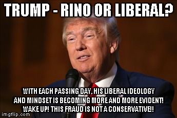 Not Conservative | TRUMP - RINO OR LIBERAL? WITH EACH PASSING DAY, HIS LIBERAL IDEOLOGY AND MINDSET IS BECOMING MORE AND MORE EVIDENT! WAKE UP! THIS FRAUD IS N | image tagged in liberal | made w/ Imgflip meme maker