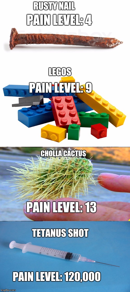 On a scale of 1 to 10, how would you rate your pain? | PAIN LEVEL: 4 PAIN LEVEL: 9 RUSTY NAIL LEGOS PAIN LEVEL: 13 CHOLLA CACTUS TETANUS SHOT PAIN LEVEL: 120,000 | image tagged in pain,cactus,legos,vaccination,ouch,disease | made w/ Imgflip meme maker