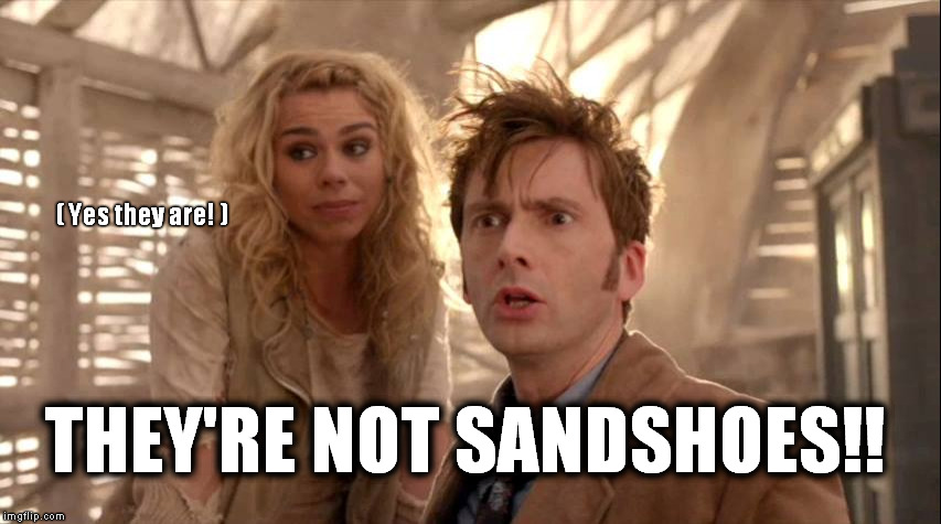 They're NOT Sandshoes! | ( Yes they are! ) THEY'RE NOT SANDSHOES!! | image tagged in doctor who,david tennant,billie piper | made w/ Imgflip meme maker