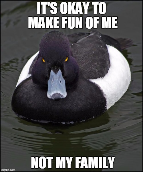 Angry duck | IT'S OKAY TO MAKE FUN OF ME NOT MY FAMILY | image tagged in angry duck | made w/ Imgflip meme maker