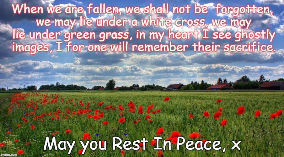 Remembrance | When we are fallen, we shall not be  forgotten, we may lie under a white cross, we may lie under green grass, in my heart I see ghostly imag | image tagged in remembrance | made w/ Imgflip meme maker