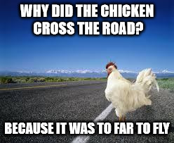 Why the chicken Cross the road | WHY DID THE CHICKEN CROSS THE ROAD? BECAUSE IT WAS TO FAR TO FLY | image tagged in why the chicken cross the road | made w/ Imgflip meme maker
