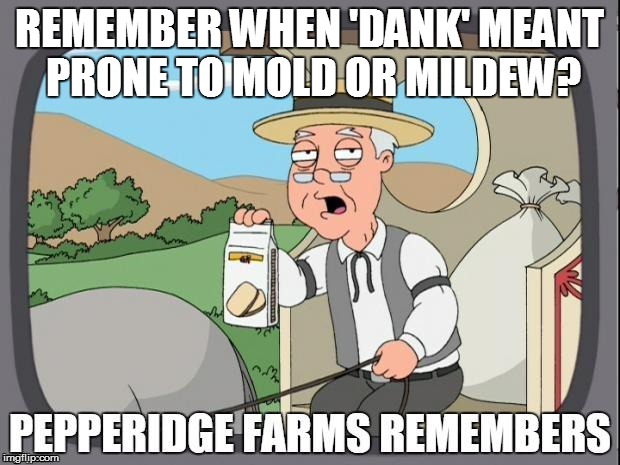 PEPPERIDGE FARMS REMEMBERS | REMEMBER WHEN 'DANK' MEANT PRONE TO MOLD OR MILDEW? | image tagged in pepperidge farms remembers | made w/ Imgflip meme maker