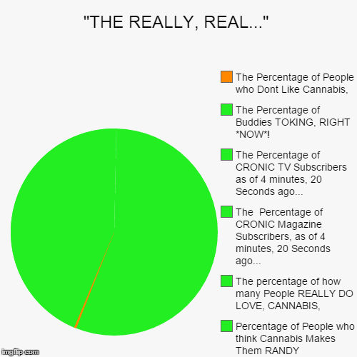 image tagged in funny,pie charts | made w/ Imgflip chart maker