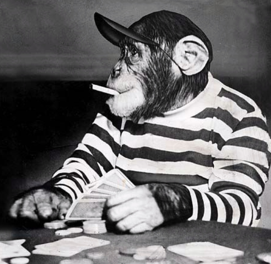 poker chimp Blank Meme Template