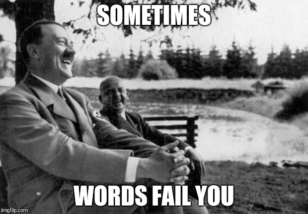 Hitler Joking  | SOMETIMES WORDS FAIL YOU | image tagged in hitler joking  | made w/ Imgflip meme maker