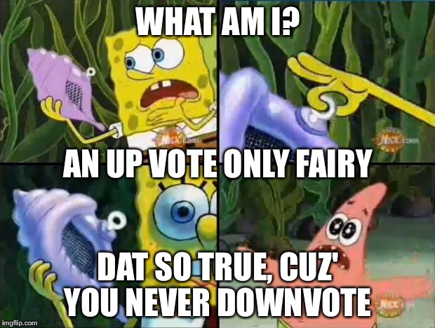Spongebob | WHAT AM I? DAT SO TRUE, CUZ' YOU NEVER DOWNVOTE AN UP VOTE ONLY FAIRY | image tagged in spongebob | made w/ Imgflip meme maker