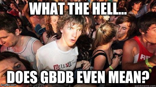 Sudden Realization | WHAT THE HELL... DOES GBDB EVEN MEAN? | image tagged in sudden realization | made w/ Imgflip meme maker