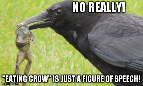 eating crow today | NO REALLY! "EATING CROW" IS JUST A FIGURE OF SPEECH! | image tagged in frog | made w/ Imgflip meme maker