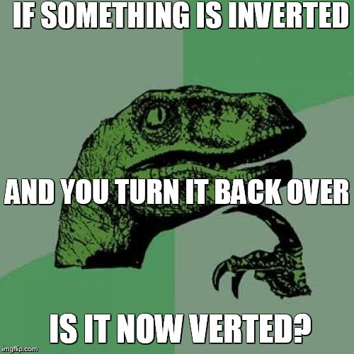 Philosoraptor Meme | IF SOMETHING IS INVERTED AND YOU TURN IT BACK OVER IS IT NOW VERTED? | image tagged in memes,philosoraptor | made w/ Imgflip meme maker