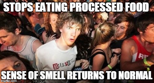 Has everything always smelled like this? | STOPS EATING PROCESSED FOOD SENSE OF SMELL RETURNS TO NORMAL | image tagged in memes,sudden clarity clarence,diet,senses | made w/ Imgflip meme maker
