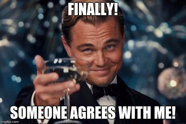 Leonardo Dicaprio Cheers Meme | FINALLY! SOMEONE AGREES WITH ME! | image tagged in memes,leonardo dicaprio cheers | made w/ Imgflip meme maker